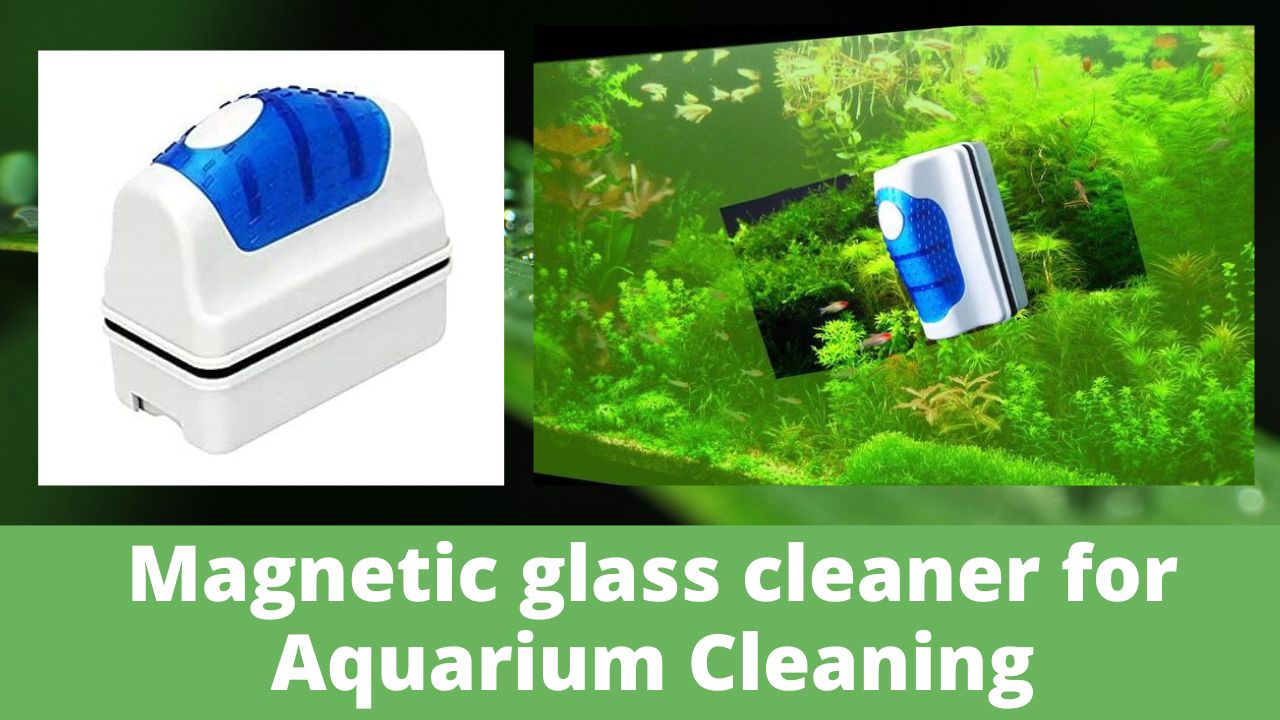 Magnetic glass cleaner and How to use magnetic glass cleaner for Aquariums