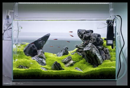 Ada fish tank top