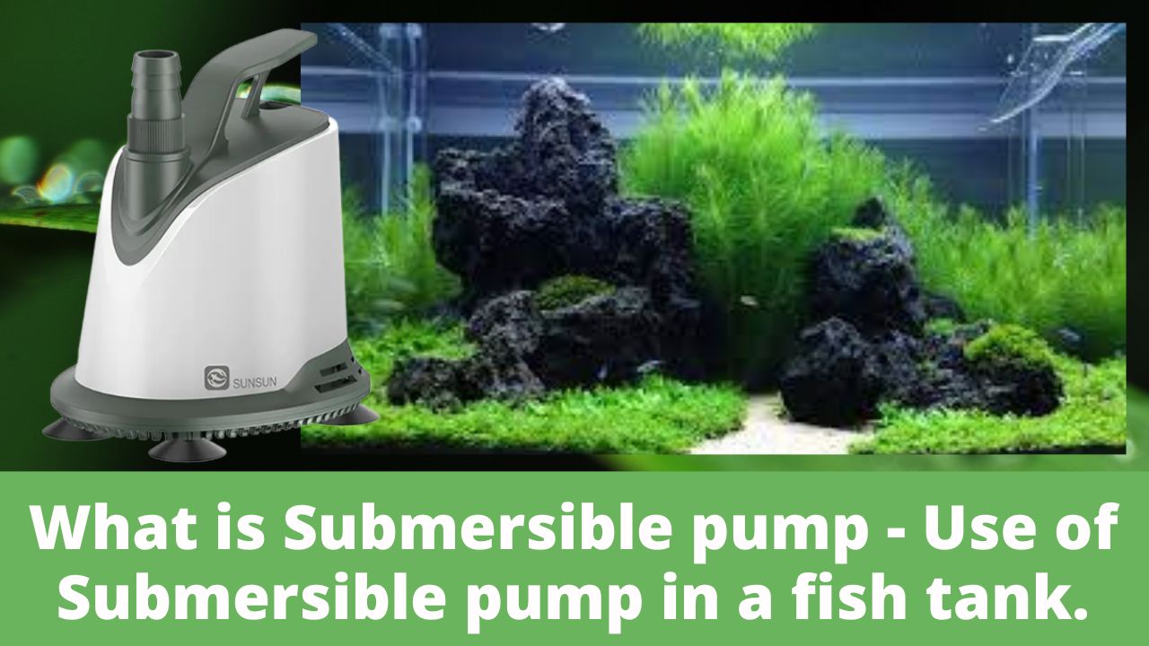 What is Submersible pump - How to use submersible pump in a fish tank for remove waste