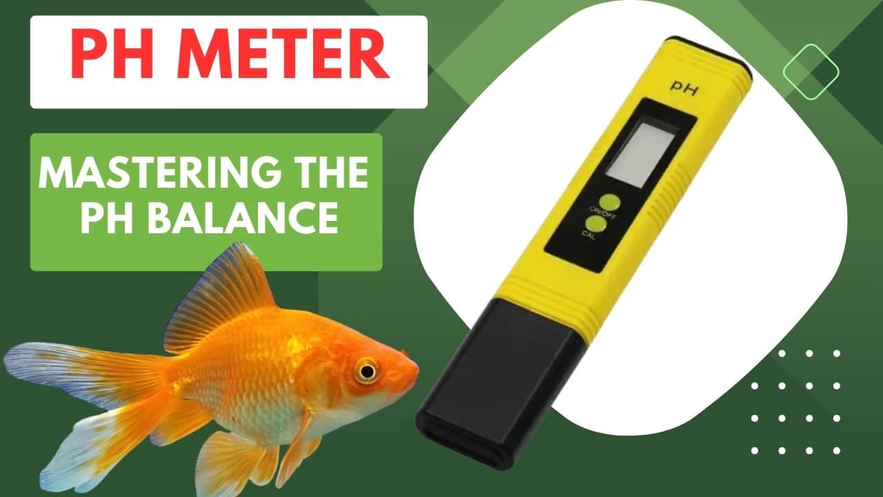 Mastering the pH Balance Testing Water pH using pH Meters in Aquariums and Aquaculture