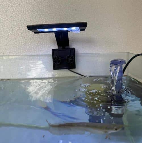 X2-200 Aquarium Clip on LED Light 5 watts – 6