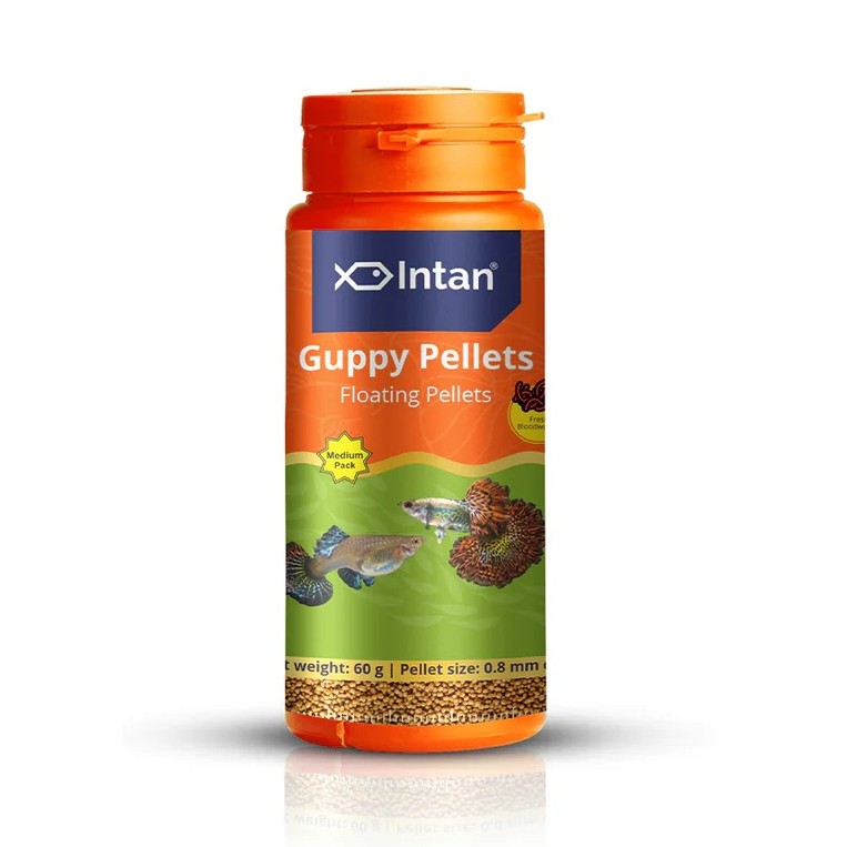 Intan Guppy Pellets 60 grams fish food from Growel Feeds