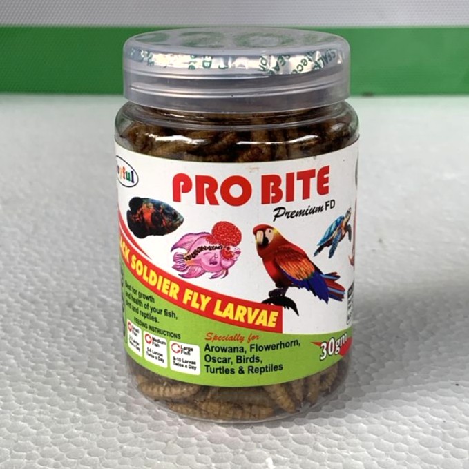 Pro Bite Black Soldier Fly Larvae 30 grams