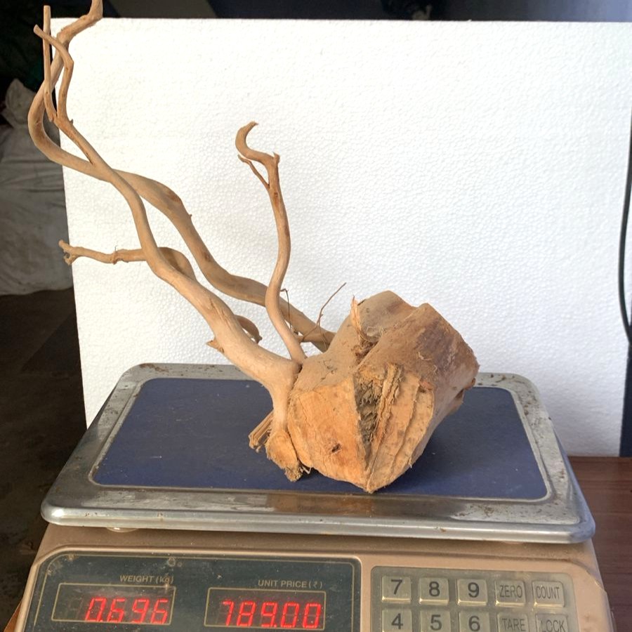 Natural Driftwood for Aquarium Decoration - DW0011