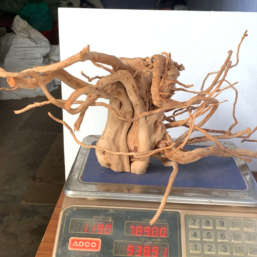 Natural Driftwood for Aquarium Decoration - DW0016